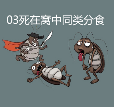 10g颗粒剂