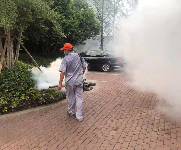 臭虫的治理防御大秘籍，臭虫消杀专用药厂家仙猫化工告诉您