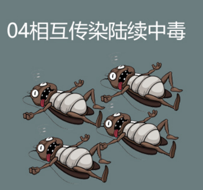 灭蟑螂胶饵