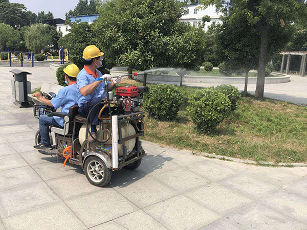 臭虫的治理防御大秘籍，臭虫消杀专用药厂家仙猫化工告诉您