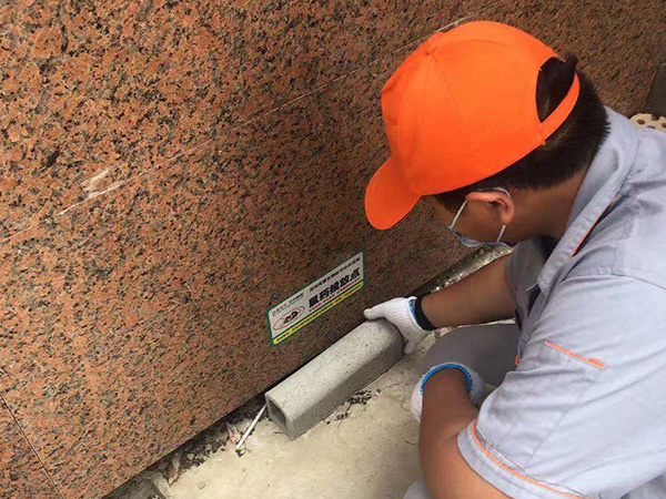 仙猫防鼠害文化月，一起做灭鼠小达人
