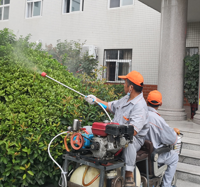 10%顺式氯氰菊酯悬浮剂